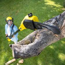 Best Lawn Grading and Leveling  in Red Chute, LA